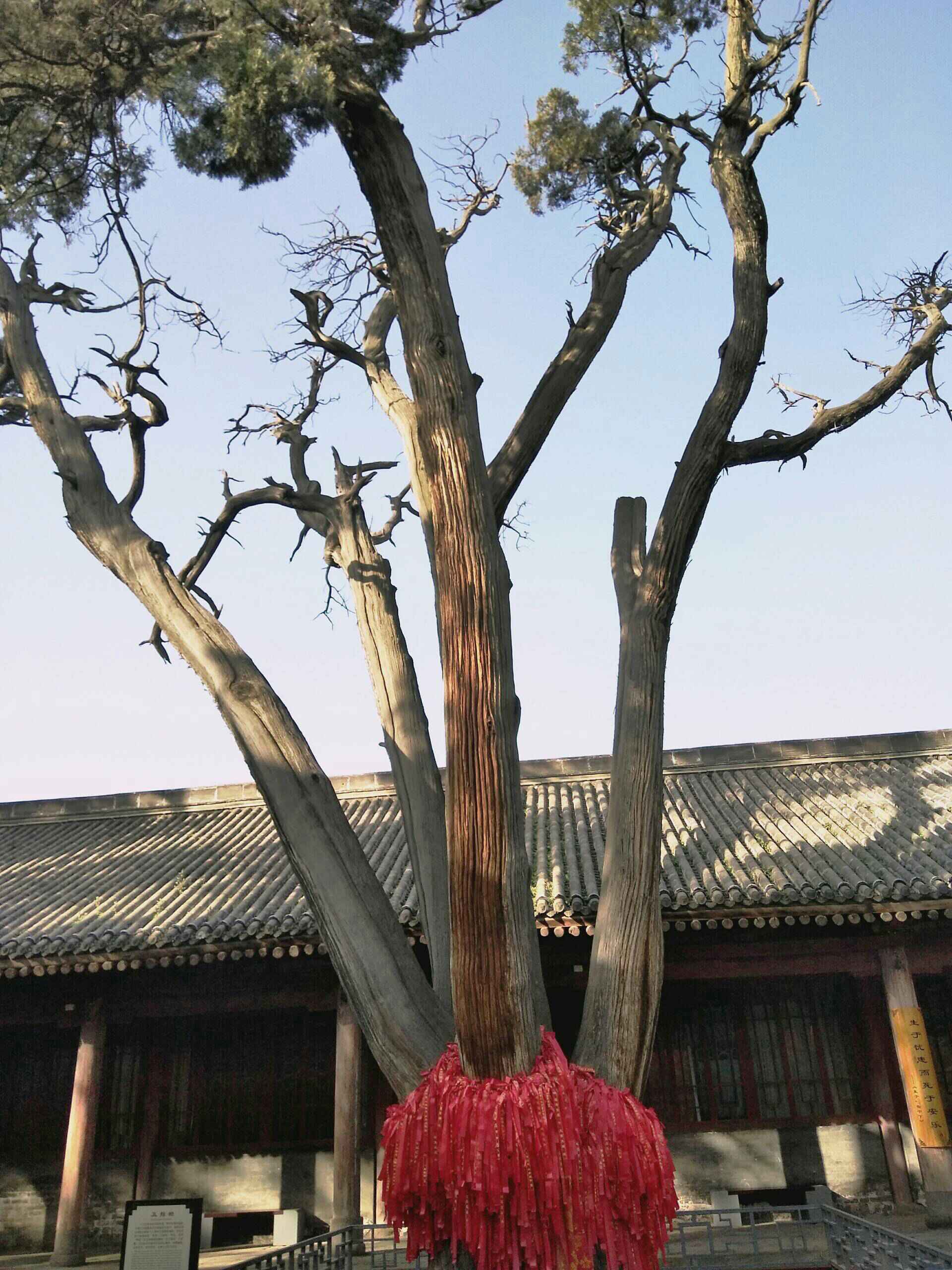 《小李哥》@@的快手