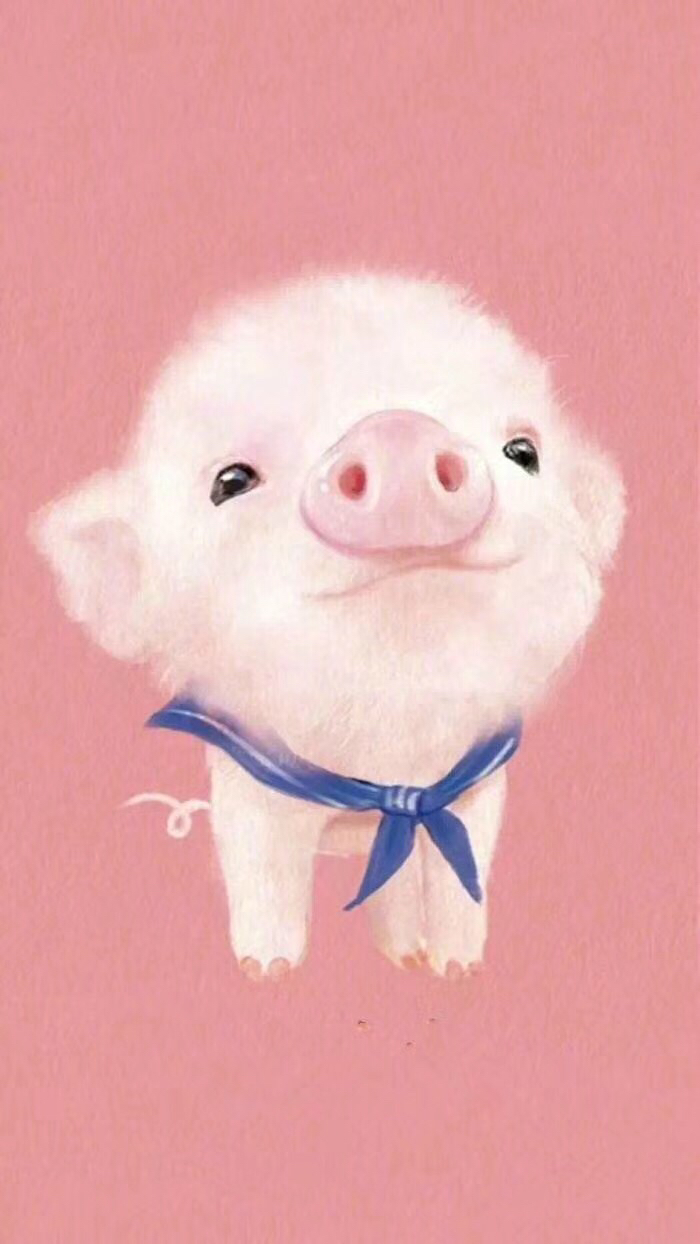 猪猪99 - 布丁6531的快手